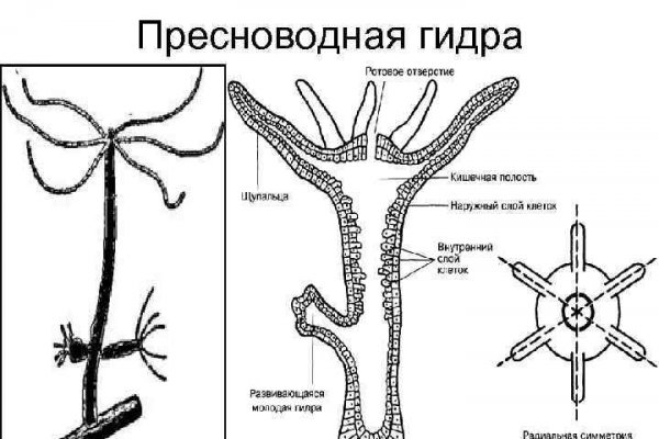 Даркнет onion сайты